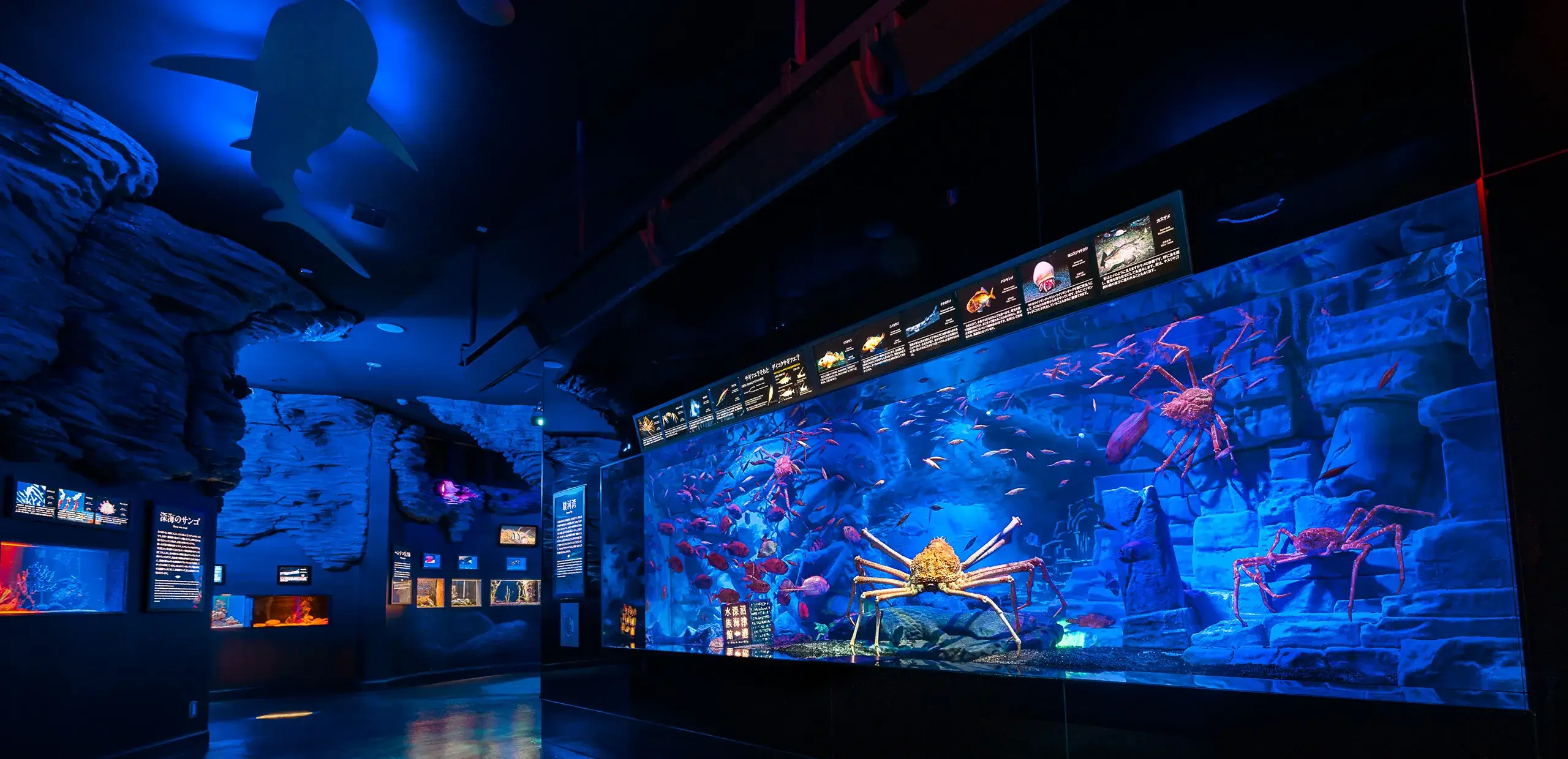 沼津港深海水族館